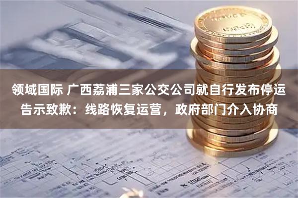 领域国际 广西荔浦三家公交公司就自行发布停运告示致歉：线路恢复运营，政府部门介入协商