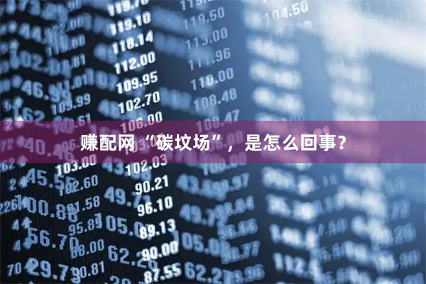 赚配网 “碳坟场”，是怎么回事？