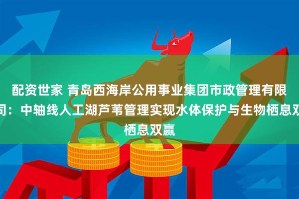 配资世家 青岛西海岸公用事业集团市政管理有限公司：中轴线人工湖芦苇管理实现水体保护与生物栖息双赢