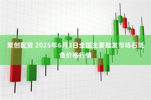 聚创配资 2025年6月3日全国主要批发市场石斑鱼价格行情