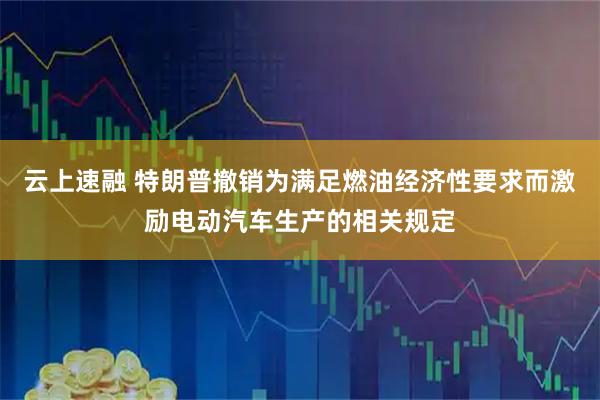 云上速融 特朗普撤销为满足燃油经济性要求而激励电动汽车生产的相关规定