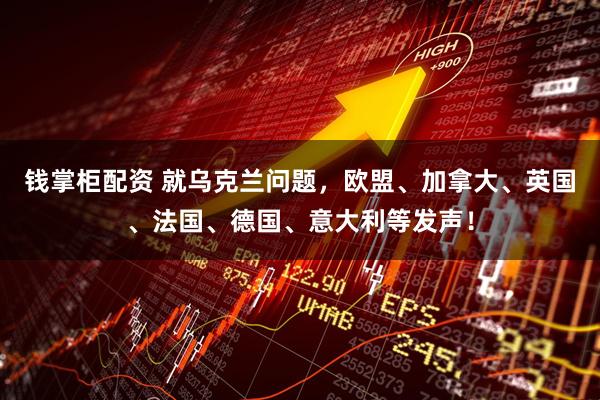 钱掌柜配资 就乌克兰问题，欧盟、加拿大、英国、法国、德国、意大利等发声！